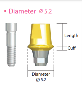 ISAH515 IS Cemented Abutment (Hex Type)