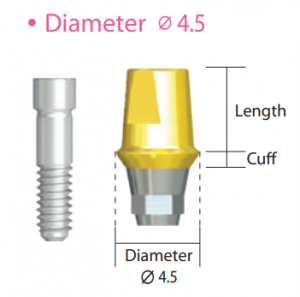 ISAH415 IS Cemented Abutment (Hex Type)